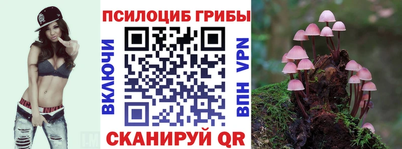 гидра вход  Верея  Псилоцибиновые грибы мухоморы 
